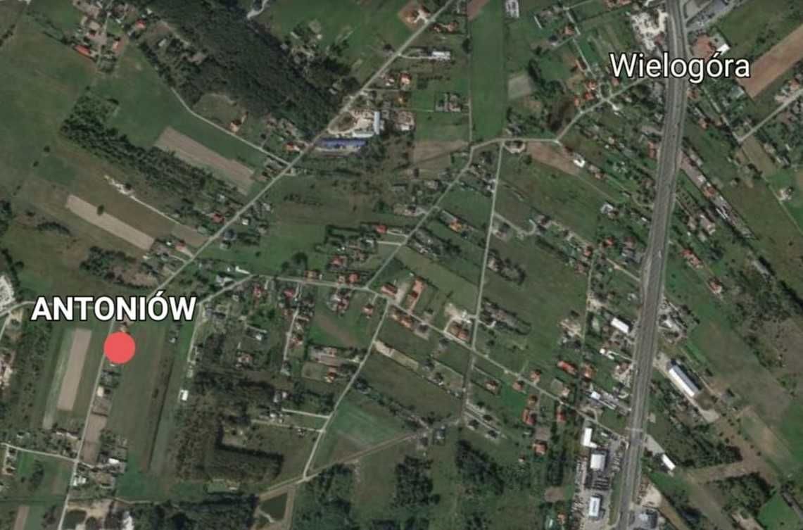 Działka budowlana Wielogóra. Zdjęcie 4