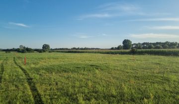 Działka rolna Łuszczewo