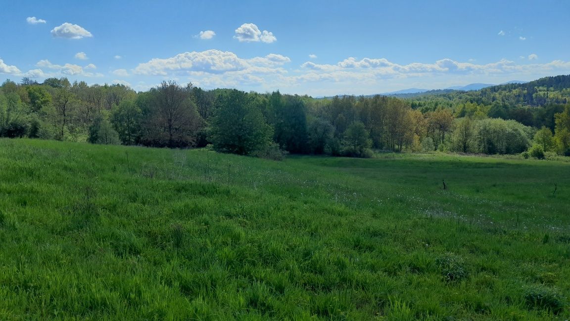 Działka rolna Kulerzów. Zdjęcie 3