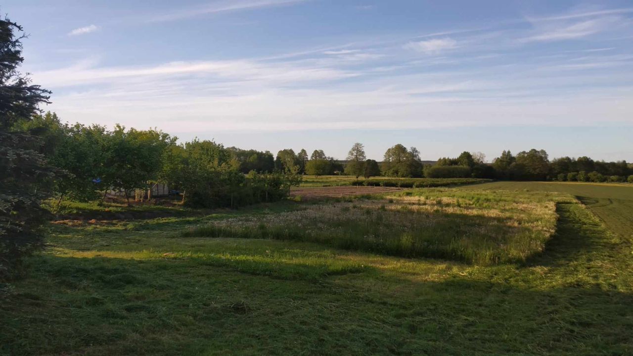 Działka rolno-budowlana Stary Bubel. Zdjęcie 5