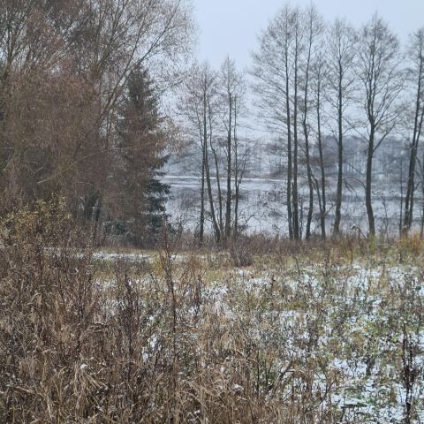 Działka rolna Karwie. Zdjęcie 7