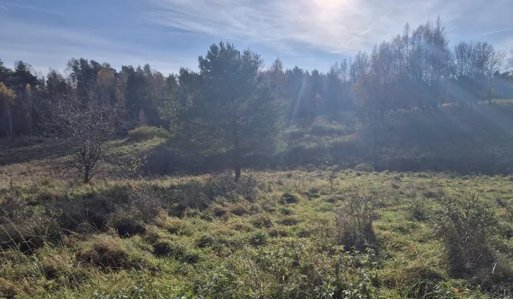 Działka budowlana Pomlewo, ul. Sosnowa