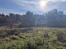 Działka budowlana Pomlewo, ul. Sosnowa