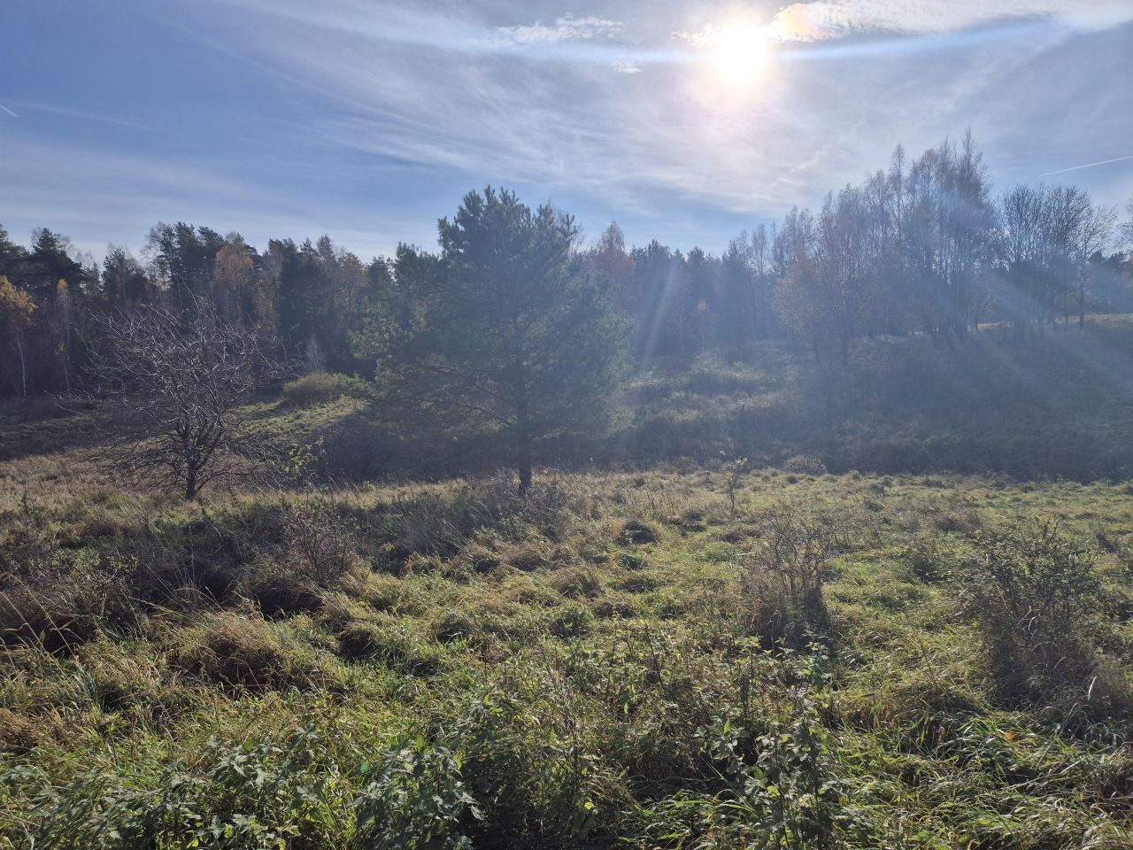 Działka budowlana Pomlewo, ul. Sosnowa