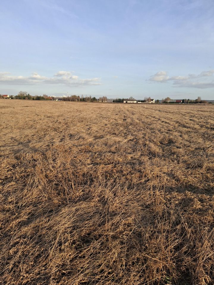 Działka budowlana Grabówko. Zdjęcie 2