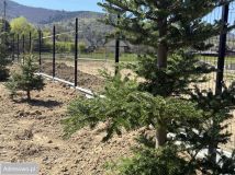 Działka budowlana Meszna. Zdjęcie 1