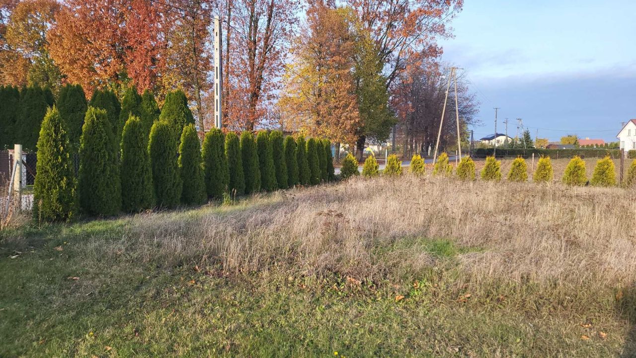 Działka budowlana Rosocha. Zdjęcie 4