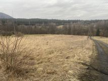 Działka rolno-budowlana Ptaszkowa Zadziele. Zdjęcie 2