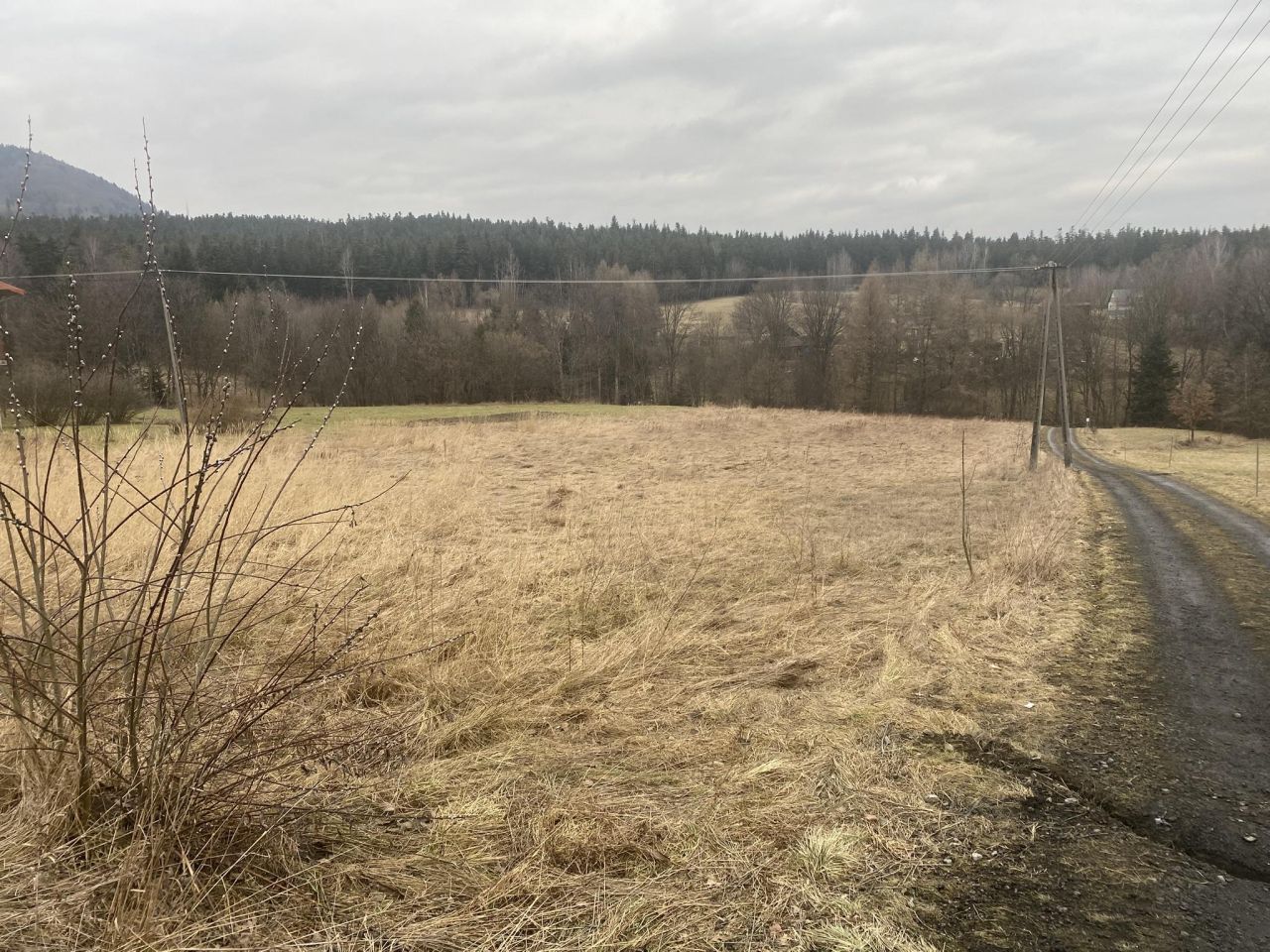 Działka rolno-budowlana Ptaszkowa Zadziele. Zdjęcie 3