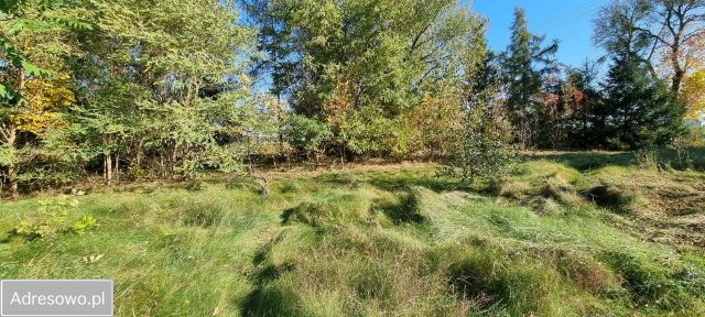 Działka rolno-budowlana Skwary. Zdjęcie 1