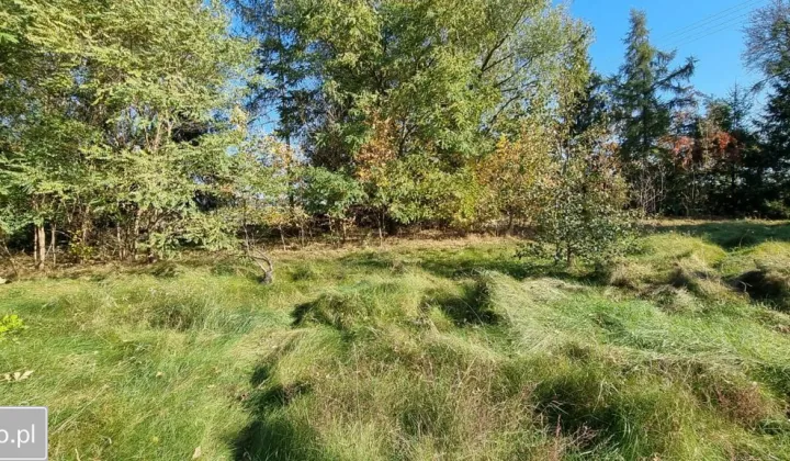 Działka rolno-budowlana Skwary
