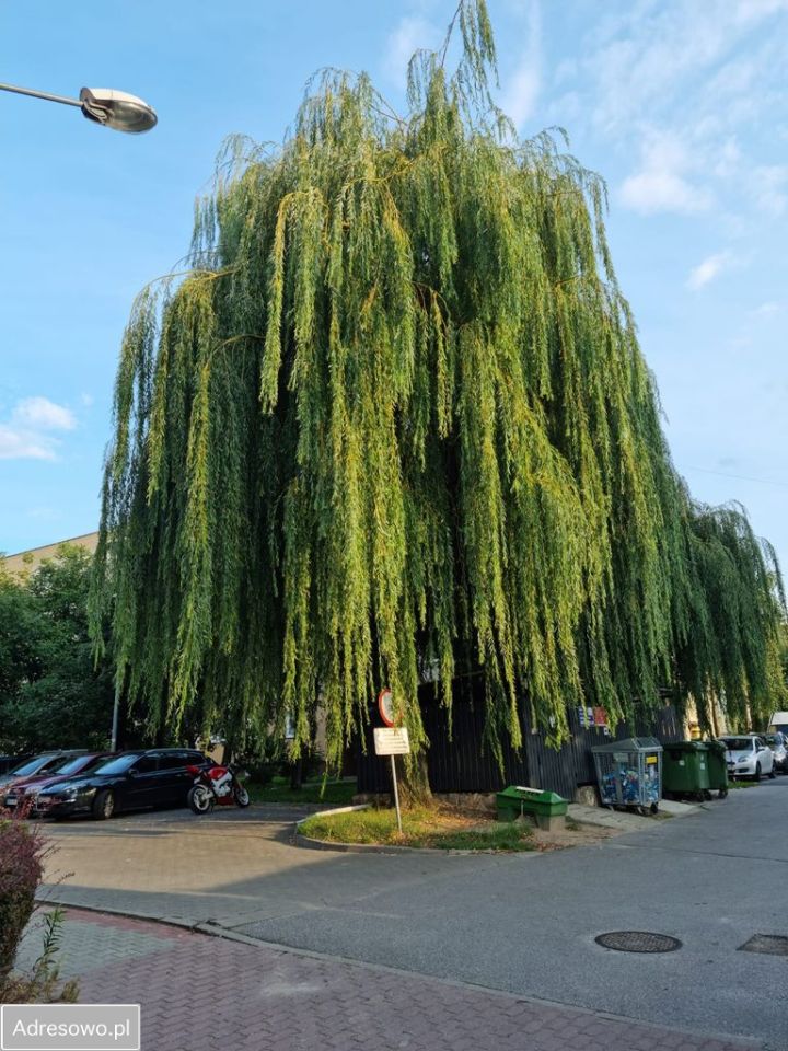 Mieszkanie 4-pokojowe Grójec, ul. Józefa Piłsudskiego. Zdjęcie 19