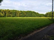 Działka rolna Malużyn. Zdjęcie 1