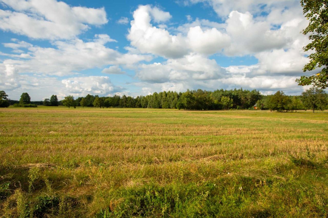 Działka rolno-budowlana Lasek. Zdjęcie 8