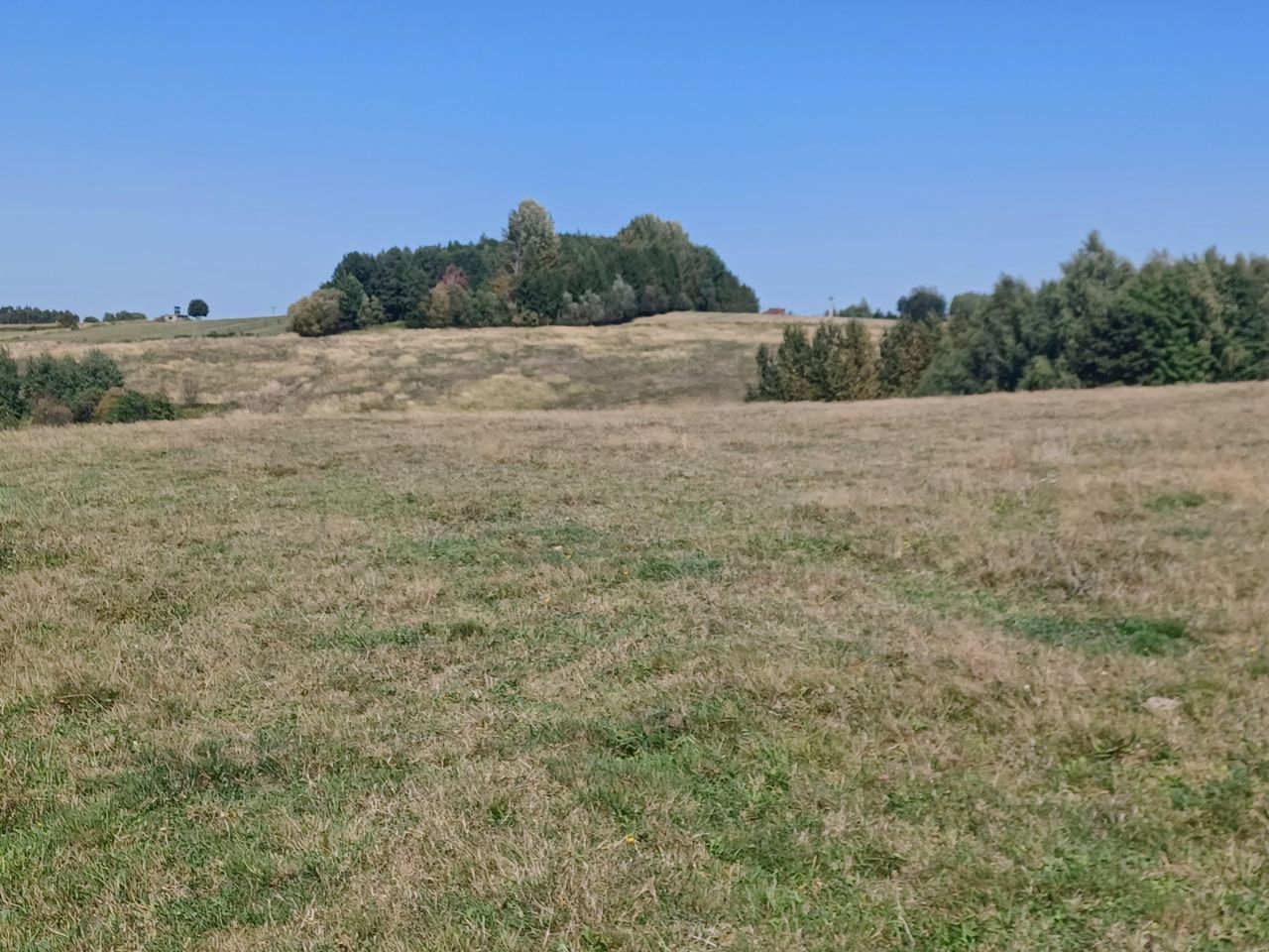 Działka rolno-budowlana Korczyna. Zdjęcie 5