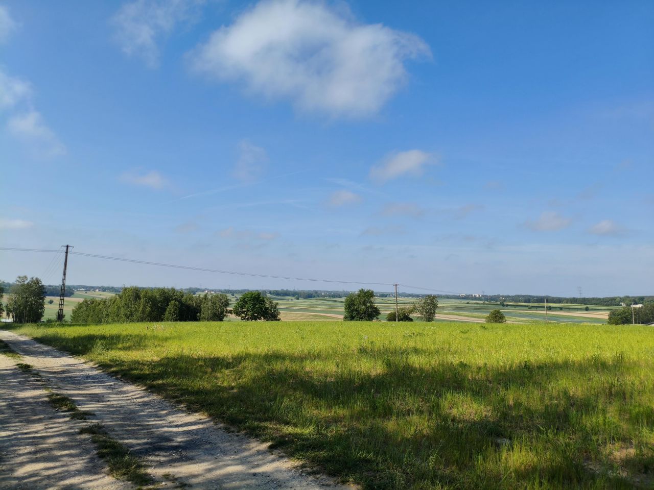 Działka budowlana Rozworzyn. Zdjęcie 1