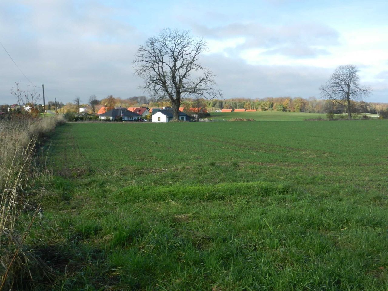 Działka inwestycyjna Stare Bielice. Zdjęcie 3