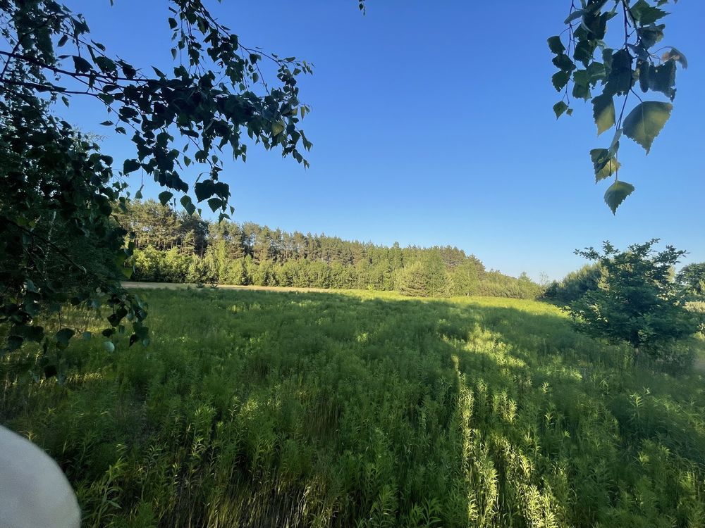 Działka rolno-budowlana Świdwowiec. Zdjęcie 2