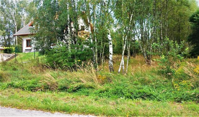 Działka budowlana Rogów, ul. Wesoła. Zdjęcie 1