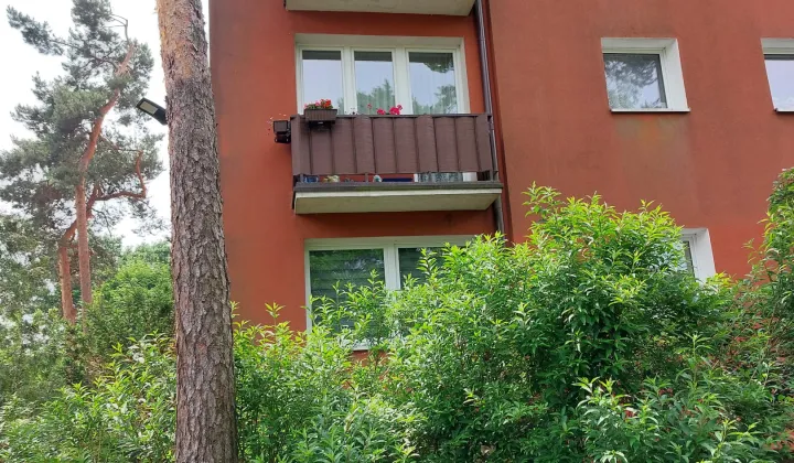 Mieszkanie 1-pokojowe Legionowo Centrum, ul. Jagiellońska