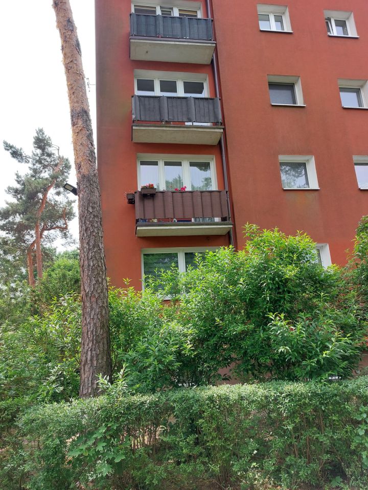 Mieszkanie 1-pokojowe Legionowo Centrum, ul. Jagiellońska