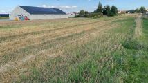 Działka budowlana Kleszczów, ul. Słoneczna. Zdjęcie 1