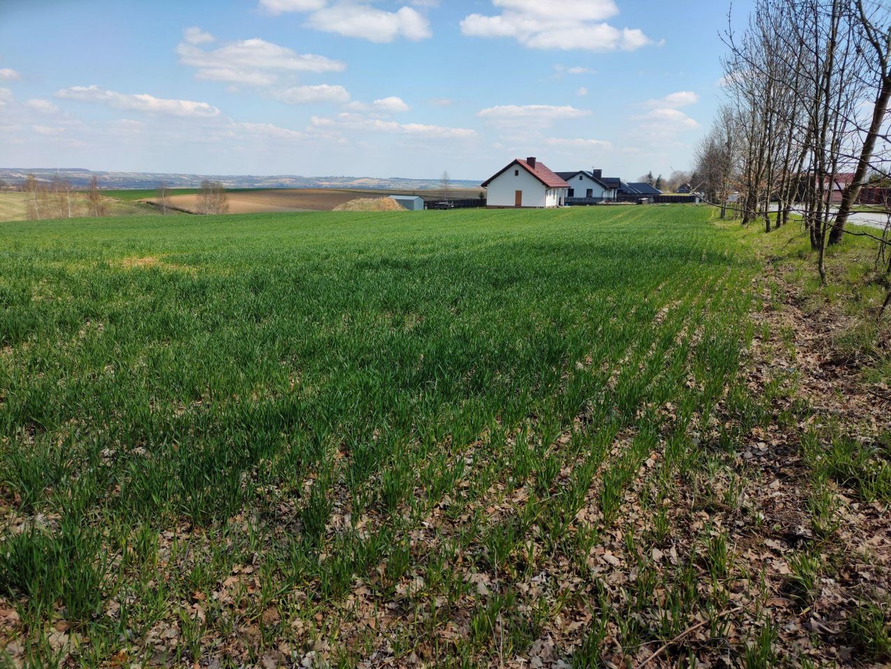 Działka budowlana Celiny. Zdjęcie 24