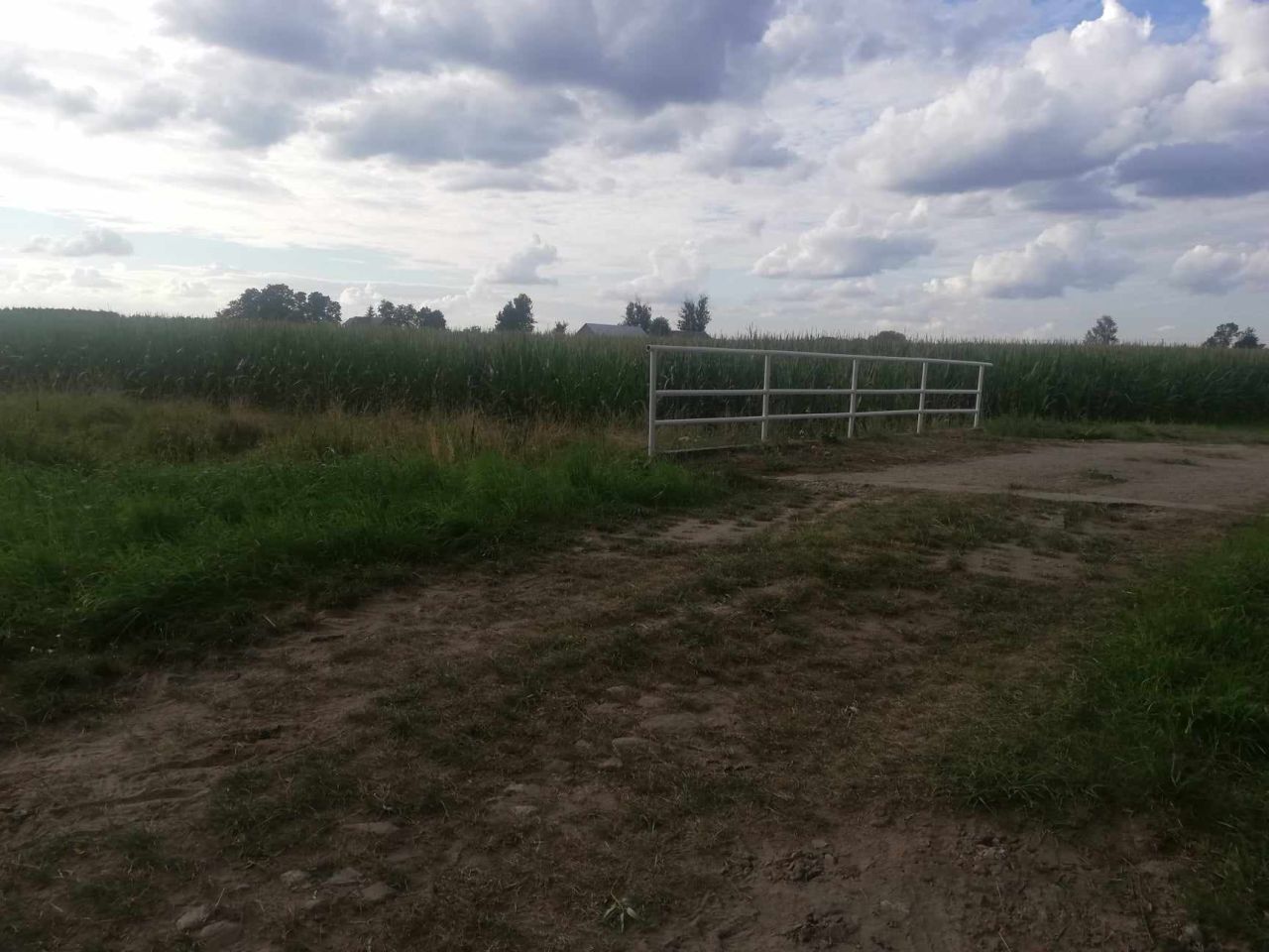 Działka budowlana Orzechów-Kolonia. Zdjęcie 8