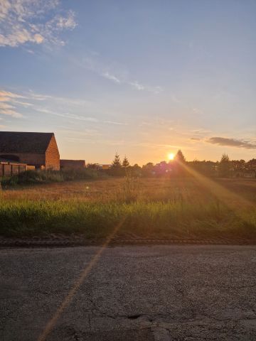 Działka budowlana Osiek. Zdjęcie 1