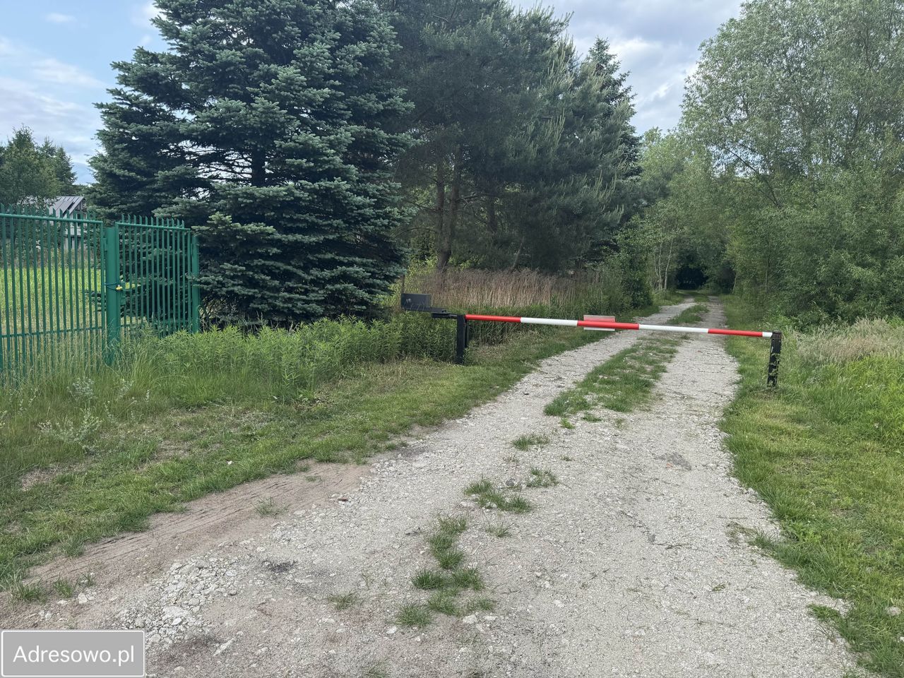 Działka budowlana Grabina. Zdjęcie 3