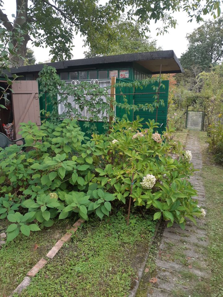Działka rod Zielona Góra Centrum, ul. Andrzeja Struga. Zdjęcie 14