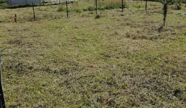 Działka rekreacyjna Wierzchowo