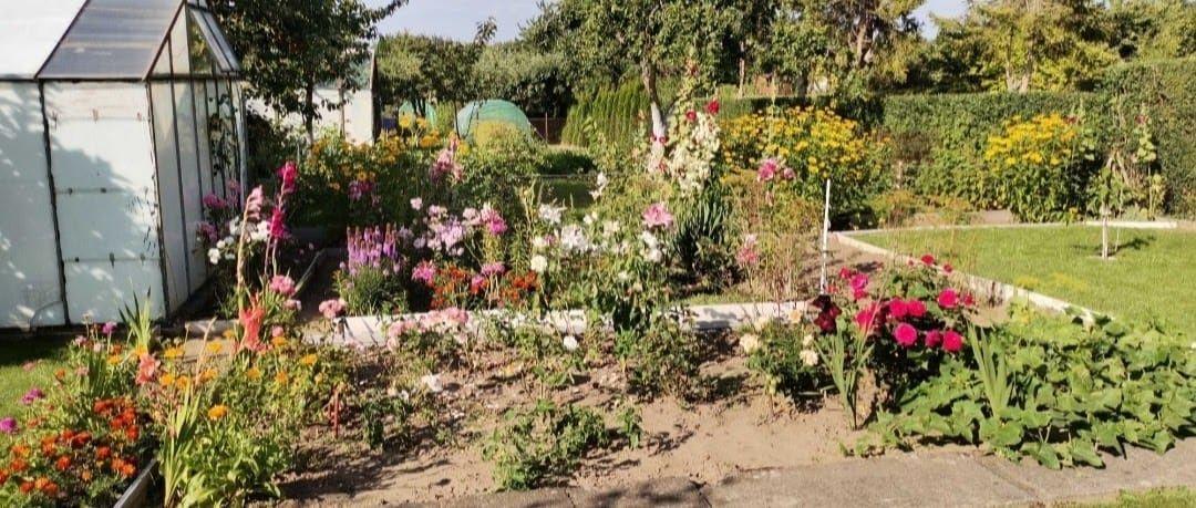 Działka rod Słupsk. Zdjęcie 2