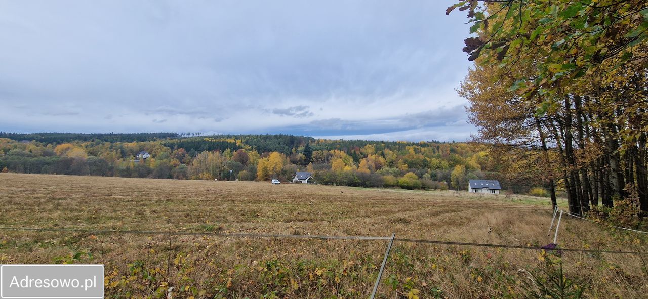Działka budowlana Chocieszów. Zdjęcie 8
