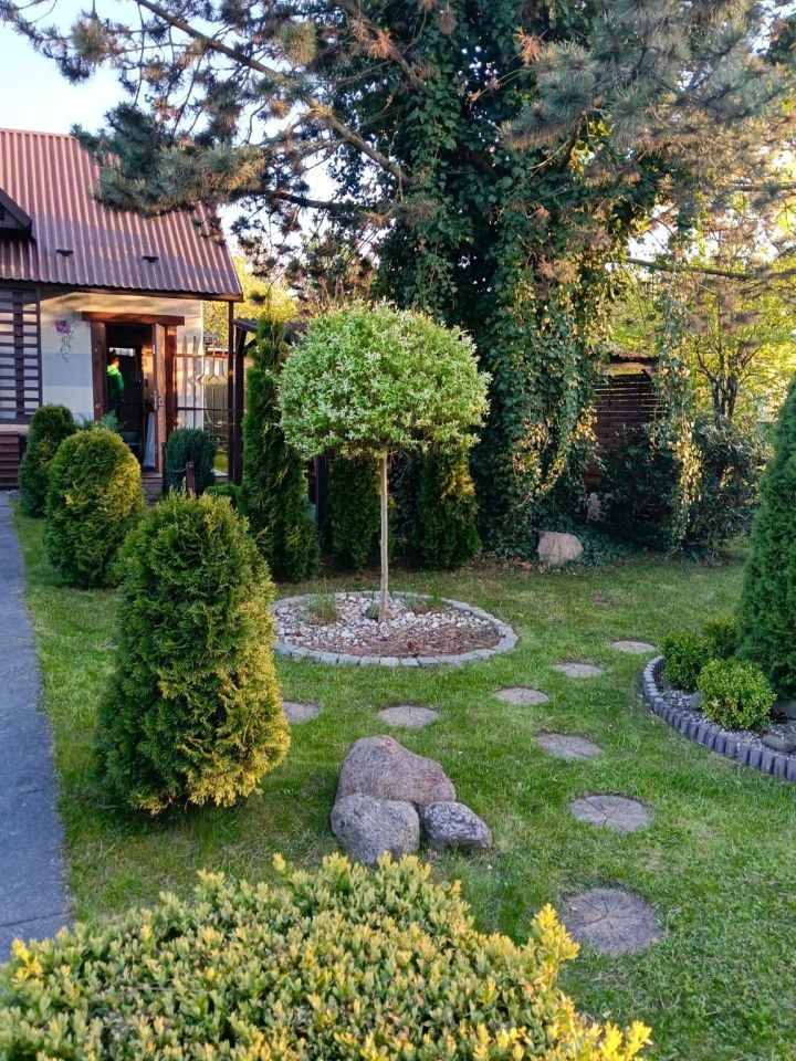 Działka rod Gliwice Śródmieście, ul. Rybnicka. Zdjęcie 4