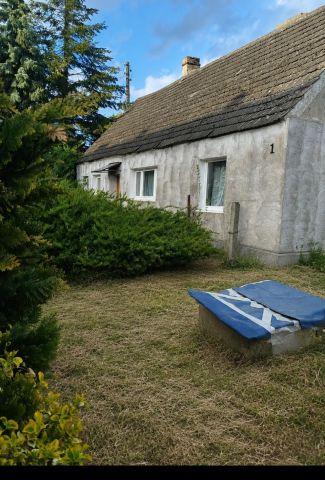 gospodarstwo, 3 pokoje Brudzewice. Zdjęcie 1