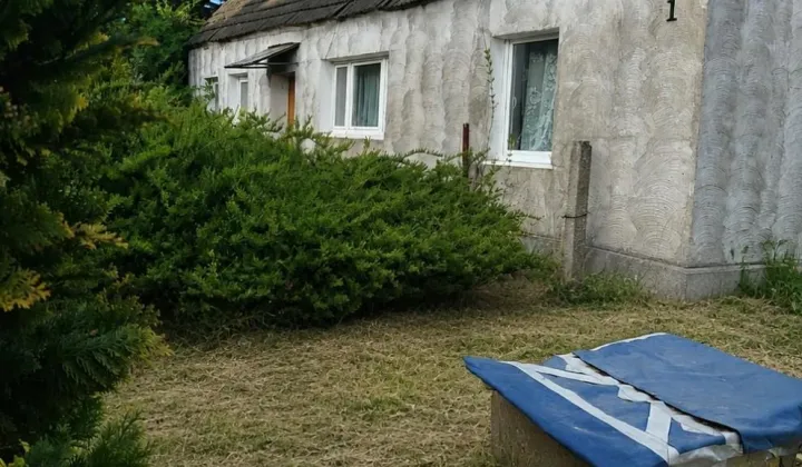 gospodarstwo, 3 pokoje Brudzewice