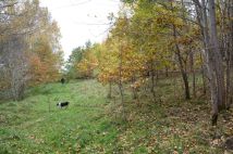 Działka rolno-budowlana Bieszkowice, ul. Polna. Zdjęcie 3