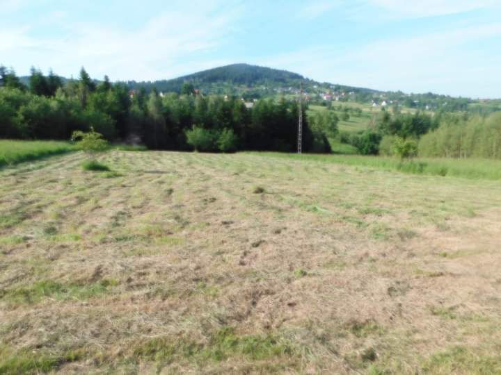 Działka budowlana Zawoja Przysłop. Zdjęcie 2