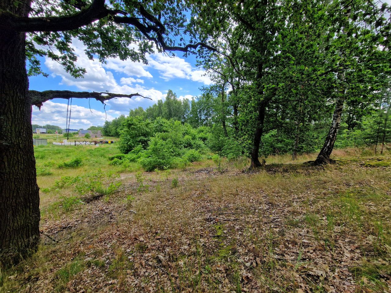 Działka budowlana Chocianów, ul. Dębowa