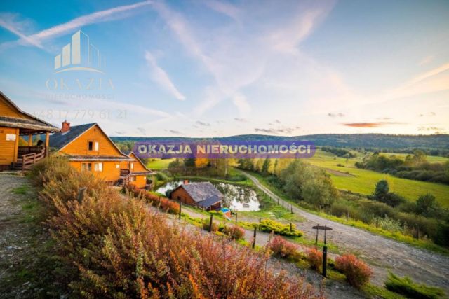 Lokal Równia. Zdjęcie 1