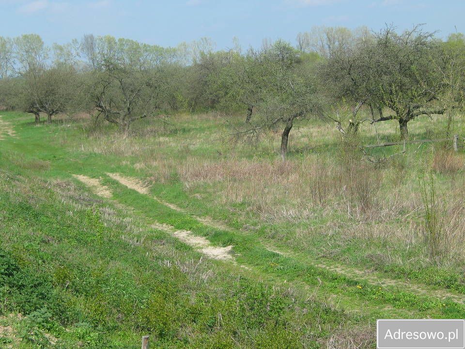 Działka rolna Chwałowice. Zdjęcie 7