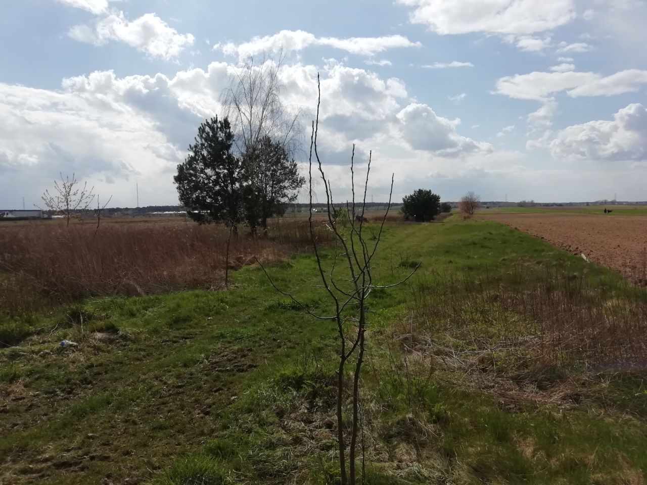 Działka rolno-budowlana Janczewice, ul. Żytnia. Zdjęcie 8