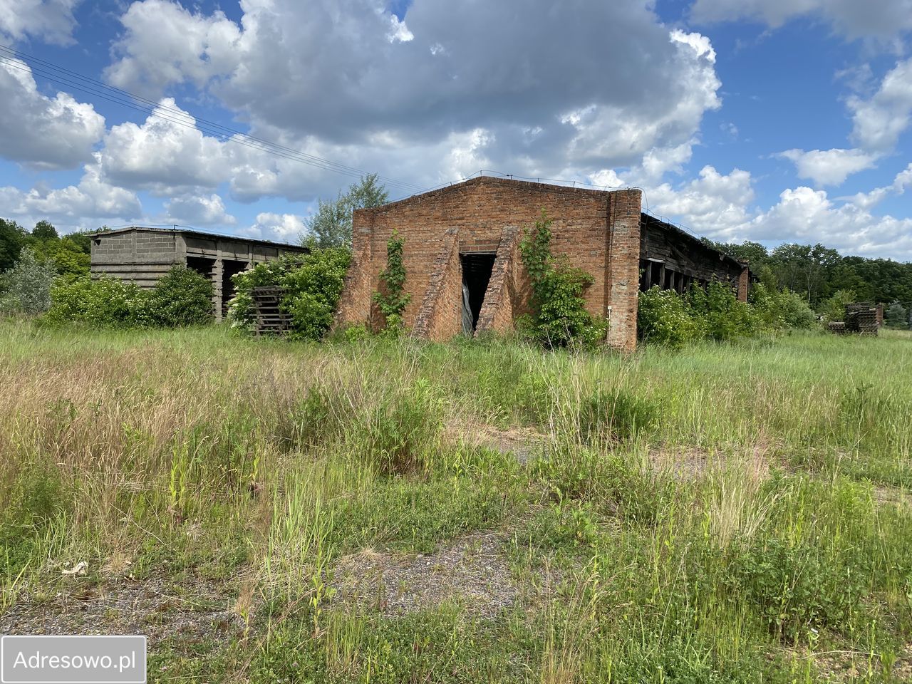 Działka inwestycyjna Lisica. Zdjęcie 7