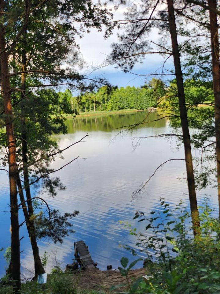 Działka rolna Wasilówka. Zdjęcie 4