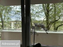 Mieszkanie 2-pokojowe Warszawa Białołęka, ul. Arcangela Corellego. Zdjęcie 3