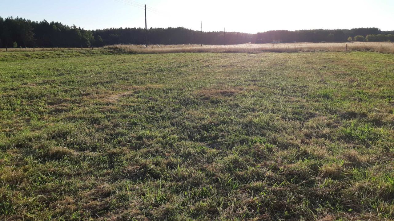 Działka budowlana Zielin Górny. Zdjęcie 4