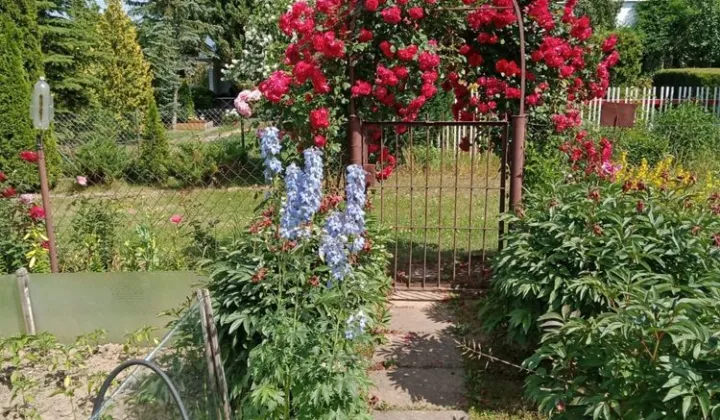 Działka rod Lublin Stary Gaj