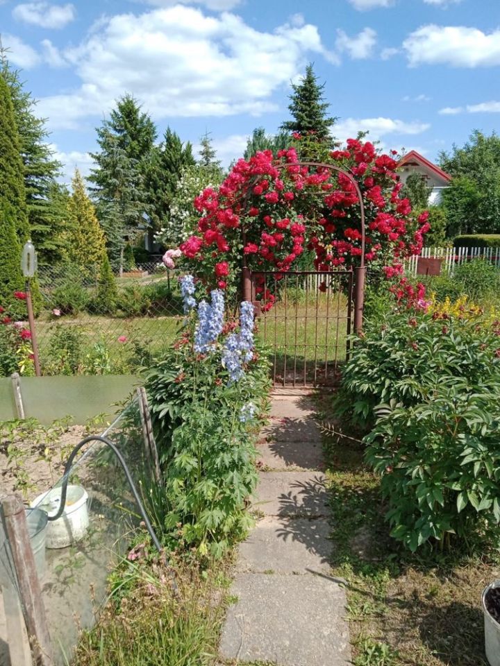 Działka rod Lublin Stary Gaj. Zdjęcie 1