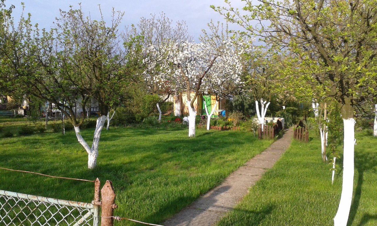 Działka rod Legnica, ul. Chojnowska. Zdjęcie 6